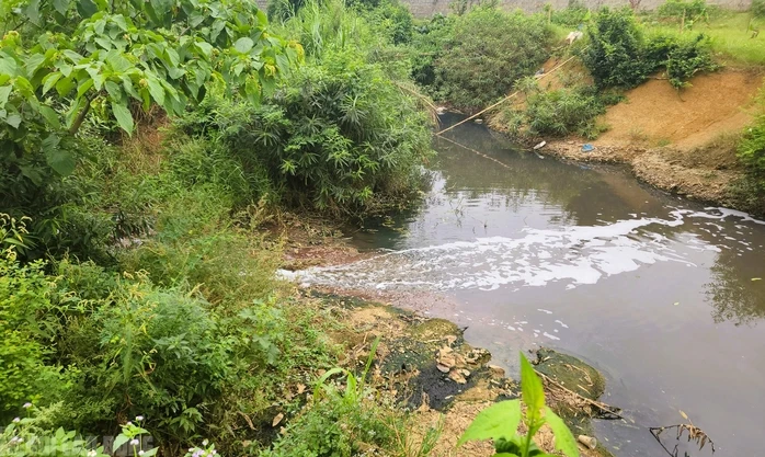 Nước giếng khoan nhà dân đổi màu tím, bốc mùi hôi thối bất thường Nước giếng khoan nhà dân đổi màu tím, bốc mùi hôi thối bất thường