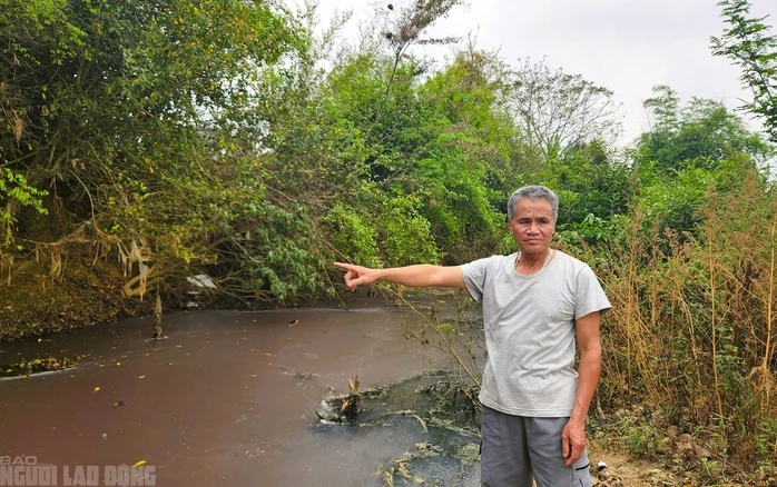 Nước giếng khoan nhà dân đổi màu tím, bốc mùi hôi thối bất thường Nước giếng khoan nhà dân đổi màu tím, bốc mùi hôi thối bất thường