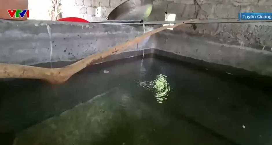 Nước sinh hoạt ở thôn Nà Vìn (Tuyên Quang) bị ô nhiễm, nhiều chỉ số vượt hàng trăm lần quy chuẩn Nước sinh hoạt ở thôn Nà Vìn (Tuyên Quang) bị ô nhiễm, nhiều chỉ số vượt hàng trăm lần quy chuẩn