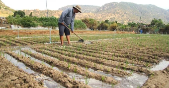 Nước về 'rốn hạn', hồi sinh vùng đất khát ở Ninh Thuận