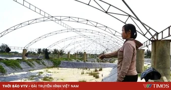 Nuôi tôm thua lỗ kéo dài, người dân loay hoay tìm lối thoát