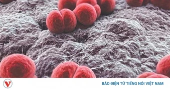 Ổ dịch viêm não mô cầu ở An Giang đã đóng, nguy cơ lây nhiễm vẫn hiện hữu
