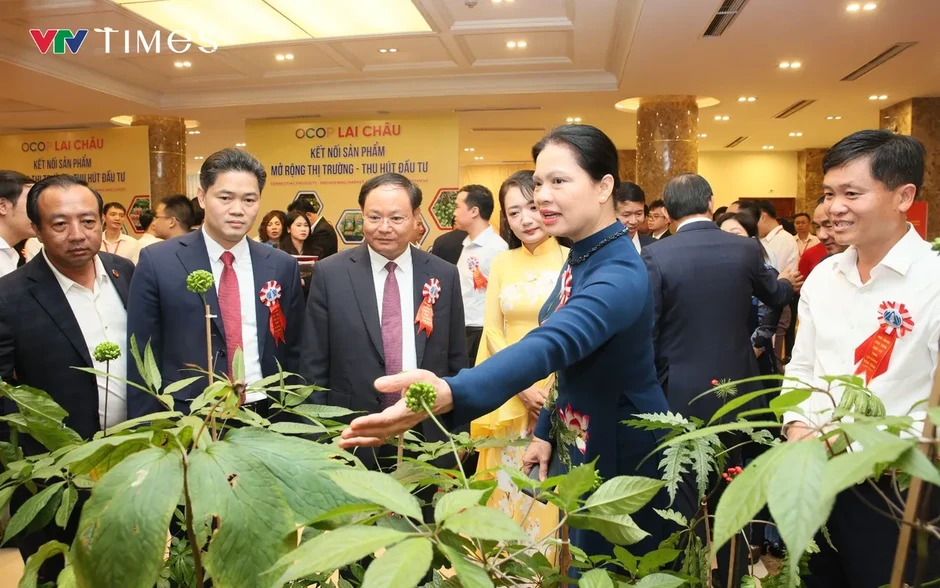 OCOP Lai Châu: Từ đặc sản vùng cao đến cơ hội thu hút đầu tư OCOP Lai Châu: Từ đặc sản vùng cao đến cơ hội thu hút đầu tư