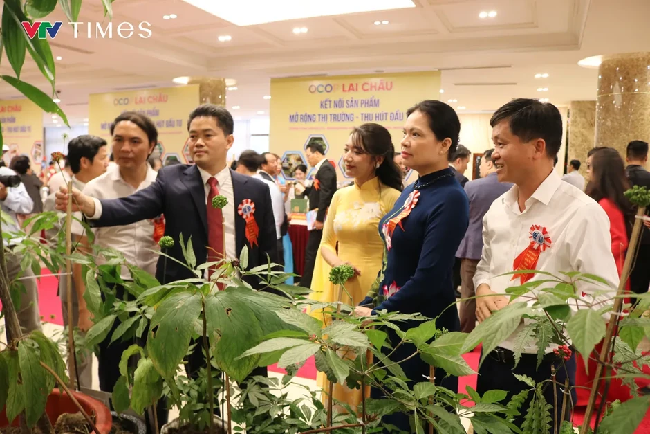 OCOP Lai Châu: Từ đặc sản vùng cao đến cơ hội thu hút đầu tư OCOP Lai Châu: Từ đặc sản vùng cao đến cơ hội thu hút đầu tư