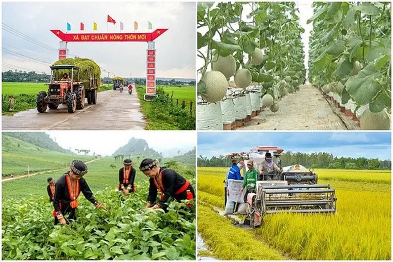 Phân bổ vốn đầu tư công giai đoạn 2026-2030 cho loạt chương trình mục tiêu quốc gia Phân bổ vốn đầu tư công giai đoạn 2026-2030 cho loạt chương trình mục tiêu quốc gia