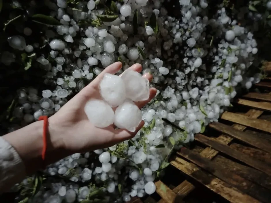 Phát hành tài liệu hướng dẫn nhận biết dấu hiệu sắp mưa đá Phát hành tài liệu hướng dẫn nhận biết dấu hiệu sắp mưa đá