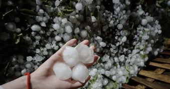 Phát hành tài liệu hướng dẫn nhận biết dấu hiệu sắp mưa đá