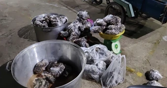 Phát hiện 127 kg thằn lằn núi Bà Đen vận chuyển trái phép tại Tây Ninh