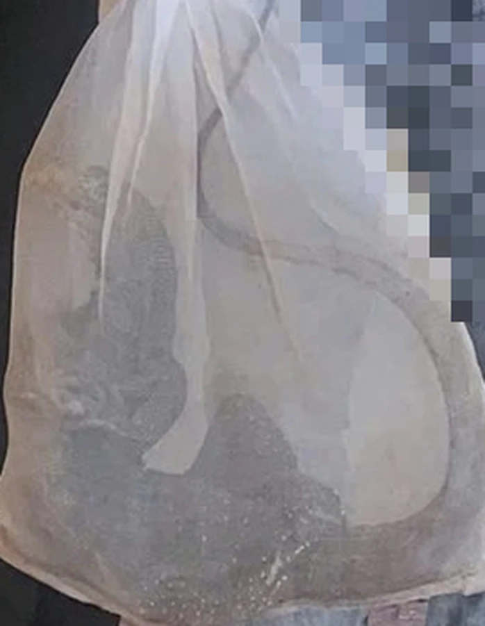Phát hiện bao lưới chứa con vật quý hiếm rơi giữa đường Phát hiện bao lưới chứa con vật quý hiếm rơi giữa đường