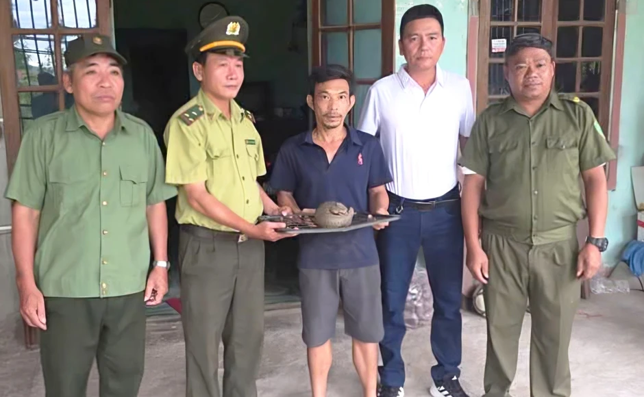 Phát hiện cá thể động vật quý hiếm trên quốc lộ Phát hiện cá thể động vật quý hiếm trên quốc lộ