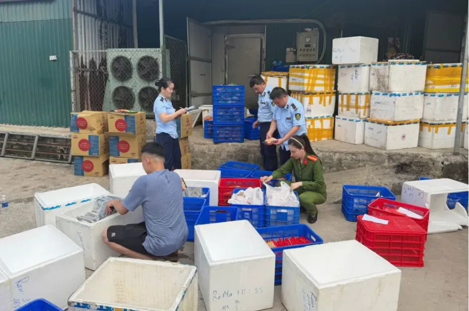 Phát hiện cơ sở tự in nhãn mác, sản xuất “Nem chua rán Hà Nội” giả quy mô lớn Phát hiện cơ sở tự in nhãn mác, sản xuất “Nem chua rán Hà Nội” giả quy mô lớn