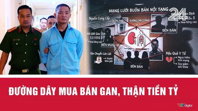 Phát hiện đường dây môi giới nội tạng hoạt động trên mạng: Bộ Y tế có động thái Phát hiện đường dây môi giới nội tạng hoạt động trên mạng: Bộ Y tế có động thái