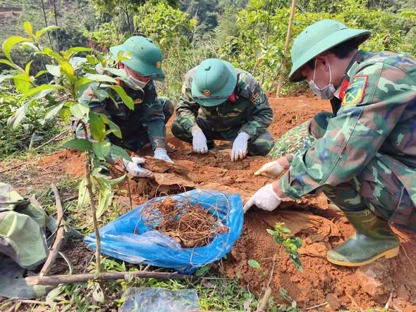 Phát hiện hài cốt liệt sĩ cùng cuộn dây thông tin, tăng võng nguyên bộ Phát hiện hài cốt liệt sĩ cùng cuộn dây thông tin, tăng võng nguyên bộ