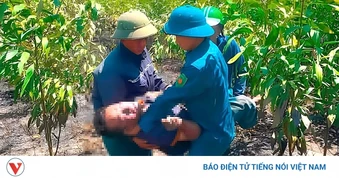 Phát hiện hai vợ chồng tử vong tại khu vực cháy rừng ở Hà Tĩnh