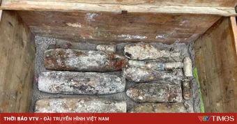 Phát hiện hầm chứa vật liệu nổ trong rừng tràm ở Huế