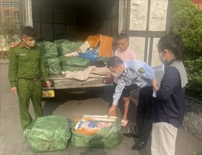 Phát hiện hàng tấn nầm, lòng lợn bẩn, không rõ nguồn gốc Phát hiện hàng tấn nầm, lòng lợn bẩn, không rõ nguồn gốc