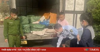 Phát hiện hàng tấn nầm, lòng lợn bẩn, không rõ nguồn gốc