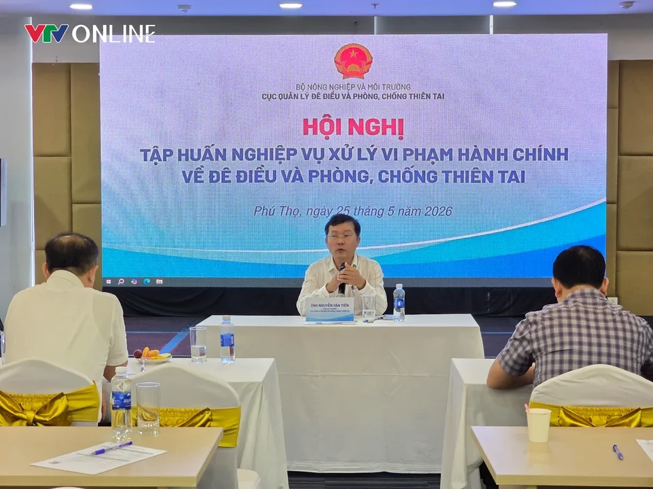 Phát hiện hơn 12.000 vụ vi phạm đê điều từ năm 2011, siết chặt kỷ cương trước mùa mưa bão Phát hiện hơn 12.000 vụ vi phạm đê điều từ năm 2011, siết chặt kỷ cương trước mùa mưa bão