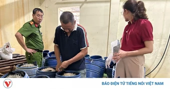 Phát hiện một cơ sở sản xuất giá đỗ sử dụng chất cấm ở Hải Phòng