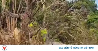 Phát hiện một thi thể nam giới trên núi cao ở Lâm Đồng