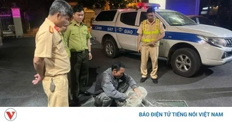 Phát hiện nam thanh niên chở 360 cá thể chim hoang dã đi tiêu thụ
