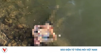 Phát hiện thi thể người đàn ông trôi dạt trên sông Nhật Lệ, tỉnh Quảng Trị