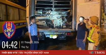Phát hiện xe tải đông lạnh chở gần 9 tấn da trâu muối không rõ nguồn gốc