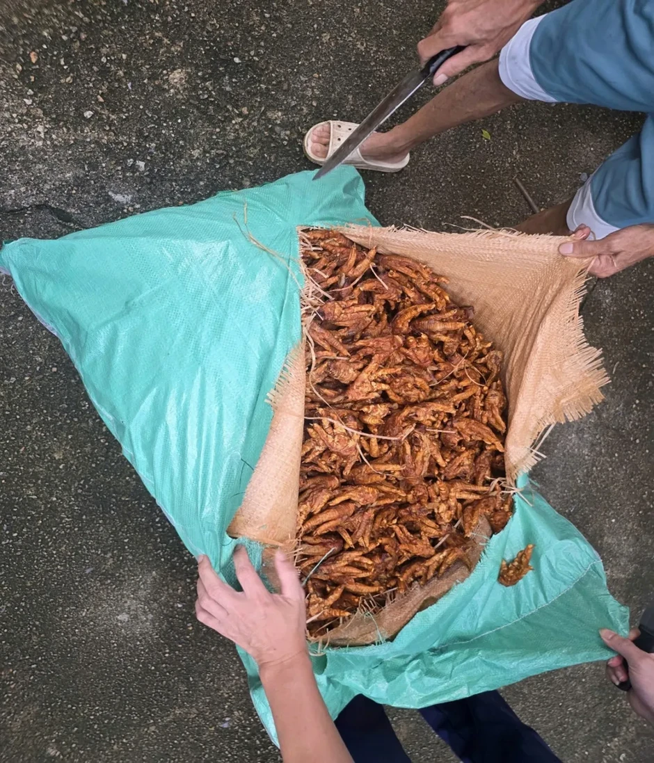 Phát hiện xe tải vận chuyển 2.600 kg chân gà chế biến không rõ nguồn gốc Phát hiện xe tải vận chuyển 2.600 kg chân gà chế biến không rõ nguồn gốc