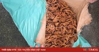Phát hiện xe tải vận chuyển 2.600 kg chân gà chế biến không rõ nguồn gốc