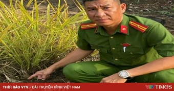 Phát hiện, xử lý vật nghi là đạn pháo còn sót lại sau chiến tranh