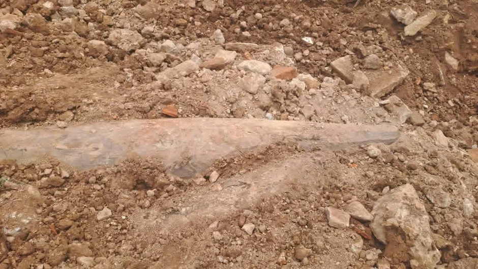Phát lộ cọc gỗ nghi ‘trận địa’ quân sự trên sông Vân, Ninh Bình Phát lộ cọc gỗ nghi ‘trận địa’ quân sự trên sông Vân, Ninh Bình