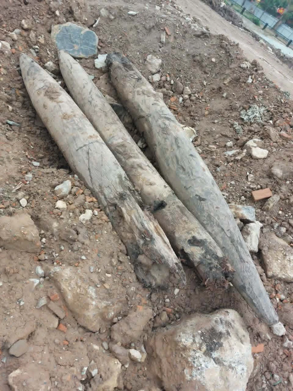 Phát lộ cọc gỗ nghi ‘trận địa’ quân sự trên sông Vân, Ninh Bình Phát lộ cọc gỗ nghi ‘trận địa’ quân sự trên sông Vân, Ninh Bình