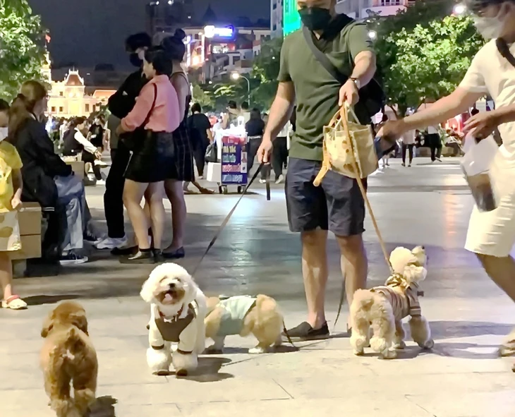 Phạt tiền tới 2 triệu đồng nếu không đeo rọ mõm cho chó ở nơi công cộng Phạt tiền tới 2 triệu đồng nếu không đeo rọ mõm cho chó ở nơi công cộng