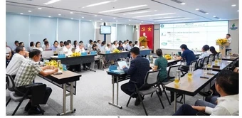 Phát triển phân bón hữu cơ Phú Mỹ theo hướng giải pháp dinh dưỡng toàn diện