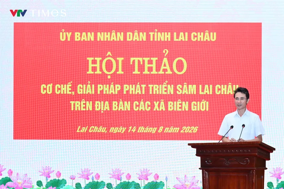Phát triển Sâm Lai Châu: Giữ rừng, tạo sinh kế, bảo vệ biên giới Phát triển Sâm Lai Châu: Giữ rừng, tạo sinh kế, bảo vệ biên giới