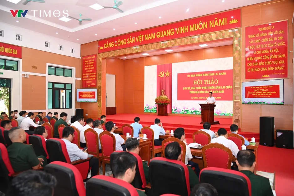 Phát triển Sâm Lai Châu: Giữ rừng, tạo sinh kế, bảo vệ biên giới Phát triển Sâm Lai Châu: Giữ rừng, tạo sinh kế, bảo vệ biên giới