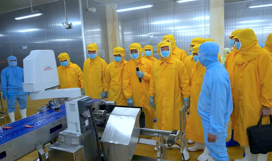 Phó Thủ tướng: Cà Mau cần khai thác hiệu quả các dự án chiến lược