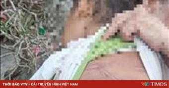 Phối hợp triển khai các biện pháp bảo vệ, chăm sóc cháu bé 2 tuổi bị bạo hành