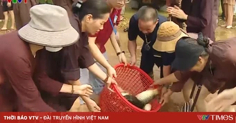 Phóng sinh đúng cách, bảo vệ đa dạng sinh học