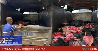 Phú Thọ chặn đứng hơn 4 tấn da trâu, bò bốc mùi hôi thối trên đường về Hà Nội