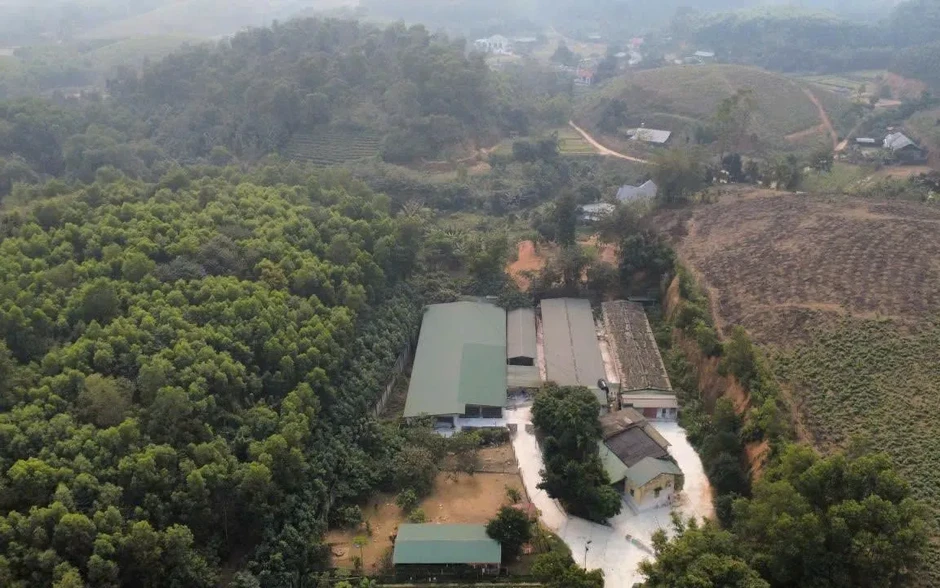 Phú Thọ: Cơ sở chăn nuôi xả thải gây ô nhiễm môi trường bị phạt 107 triệu đồng Phú Thọ: Cơ sở chăn nuôi xả thải gây ô nhiễm môi trường bị phạt 107 triệu đồng