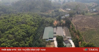 Phú Thọ: Cơ sở chăn nuôi xả thải gây ô nhiễm môi trường bị phạt 107 triệu đồng