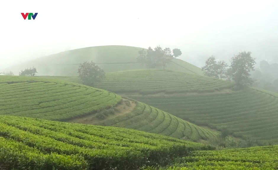 Phú Thọ: Đánh thức tiềm năng du lịch “Kết nối miền di sản - trải nghiệm đa sắc” Phú Thọ: Đánh thức tiềm năng du lịch “Kết nối miền di sản - trải nghiệm đa sắc”
