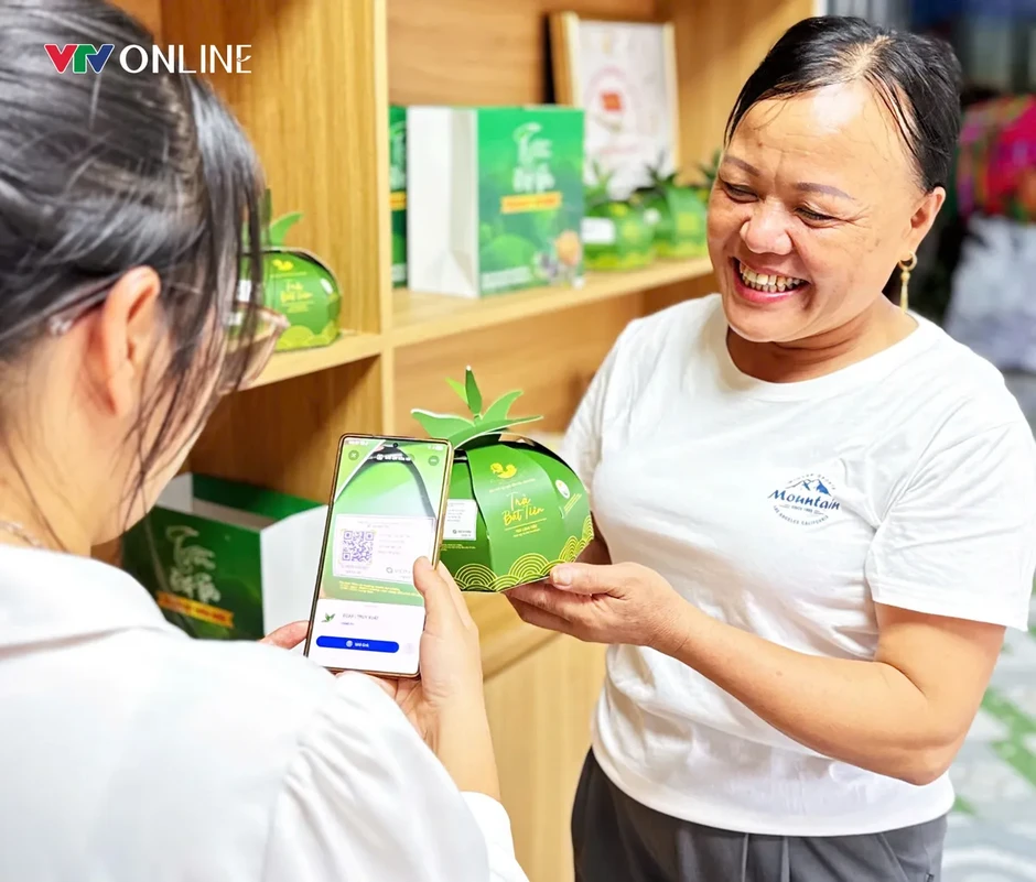 Phú Thọ: Khẳng định giá trị thương hiệu cây chè Đất tổ Phú Thọ: Khẳng định giá trị thương hiệu cây chè Đất tổ