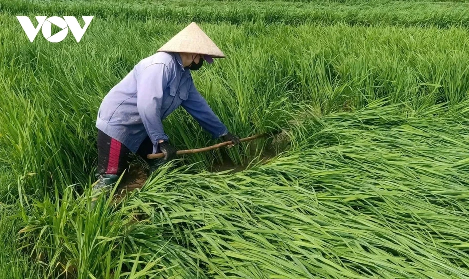 Phú Thọ, Lào Cai và Thái Nguyên huy động sửa chữa nhà cho nhân dân sau dông lốc Phú Thọ, Lào Cai và Thái Nguyên huy động sửa chữa nhà cho nhân dân sau dông lốc