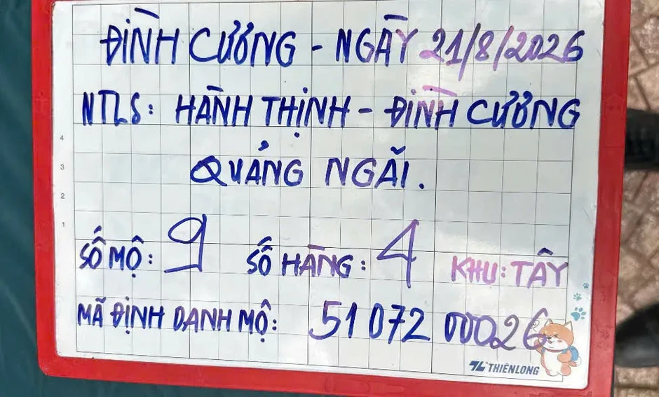 Phục dựng bức chân dung phụ nữ được tìm thấy trong phần mộ liệt sĩ ở Quảng Ngãi