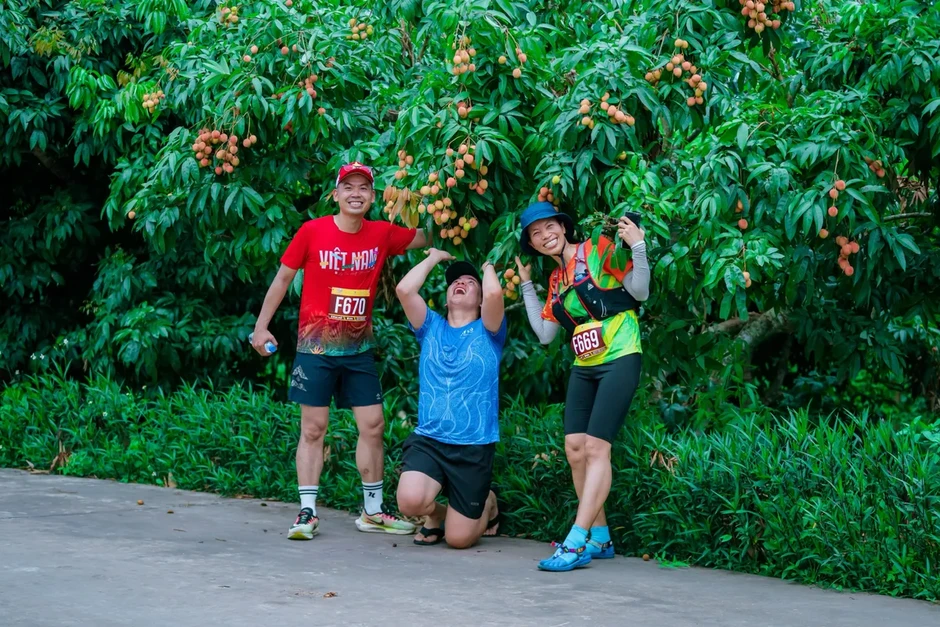 Phúc Hòa, Bắc Ninh: Đưa vải thiều chín sớm vào hành trình du lịch nông nghiệp