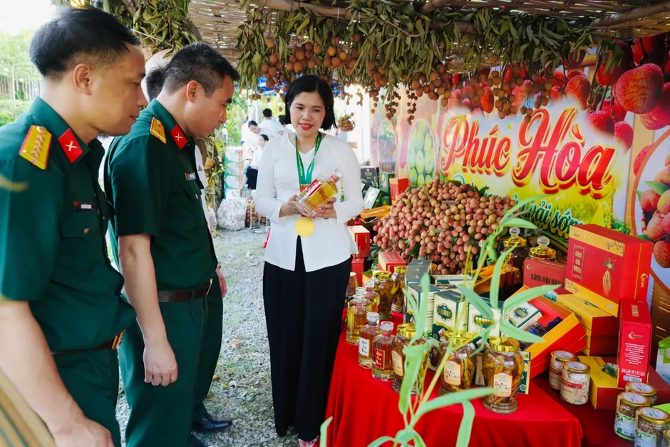 Phúc Hòa, Bắc Ninh: Đưa vải thiều chín sớm vào hành trình du lịch nông nghiệp