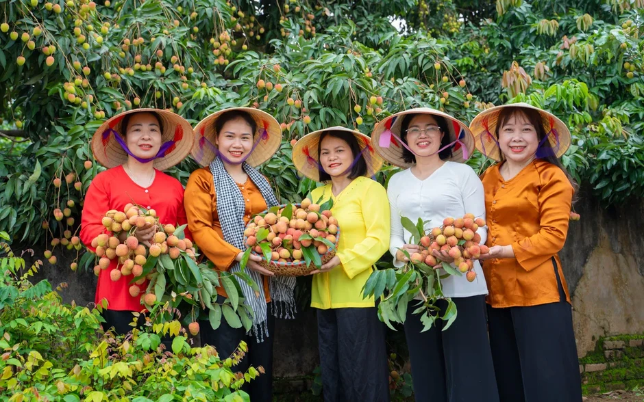 Phúc Hòa, Bắc Ninh: Đưa vải thiều chín sớm vào hành trình du lịch nông nghiệp