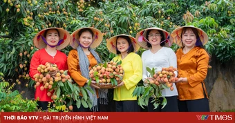 Phúc Hòa, Bắc Ninh: Đưa vải thiều chín sớm vào hành trình du lịch nông nghiệp